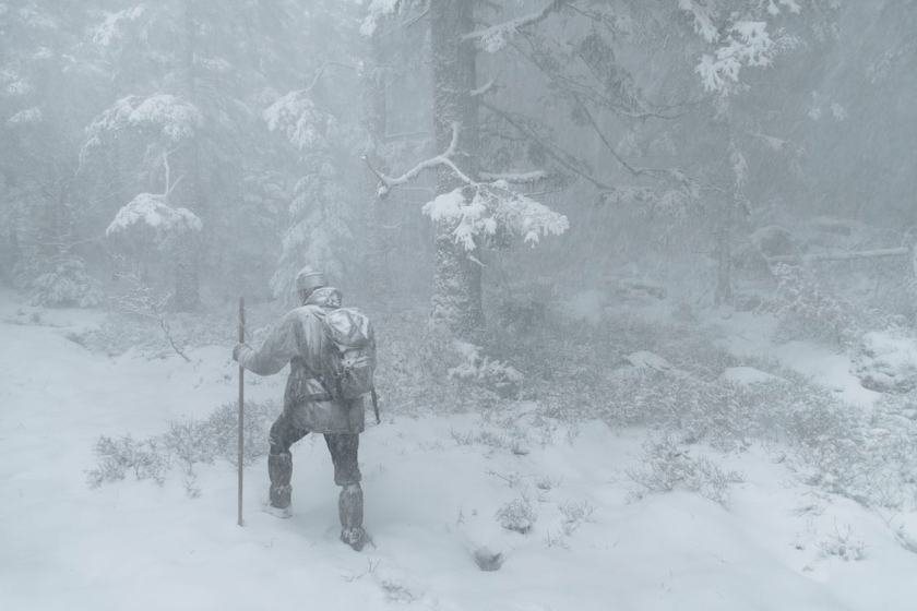 Prikkelarme voorstelling: Whispers in the Woods