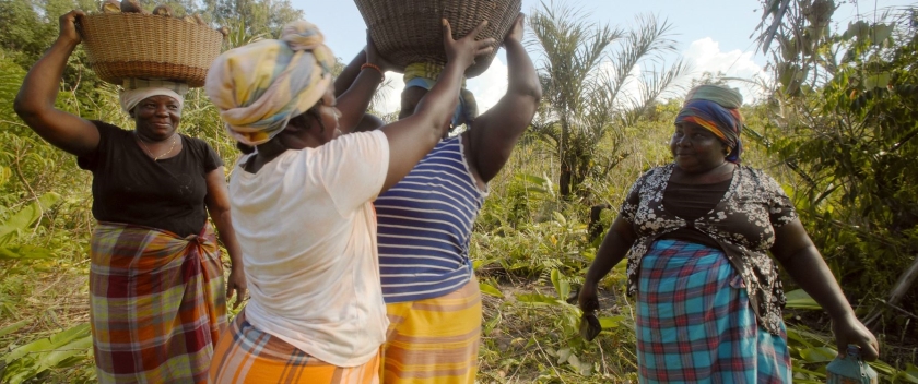 Caribbean Focus: Monikondee
