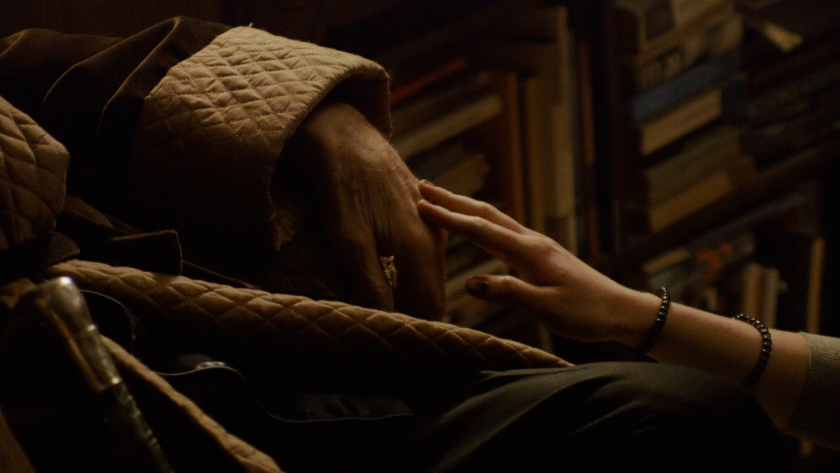 Forest: I See You Everywhere