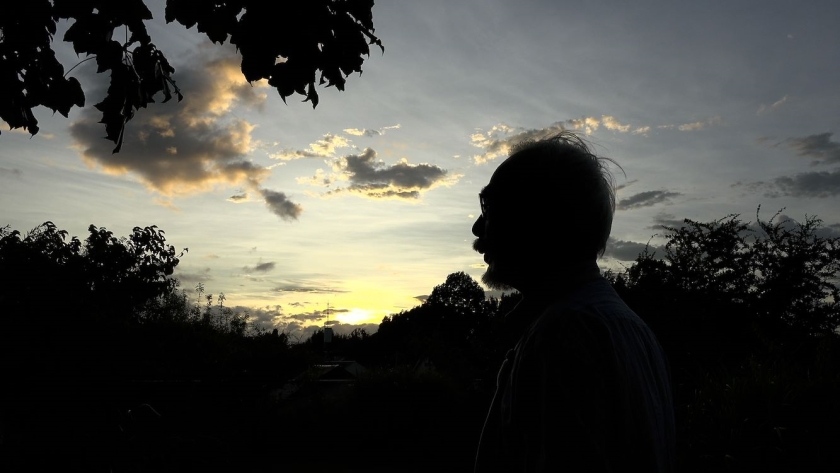 Hayao Miyazaki and the Heron