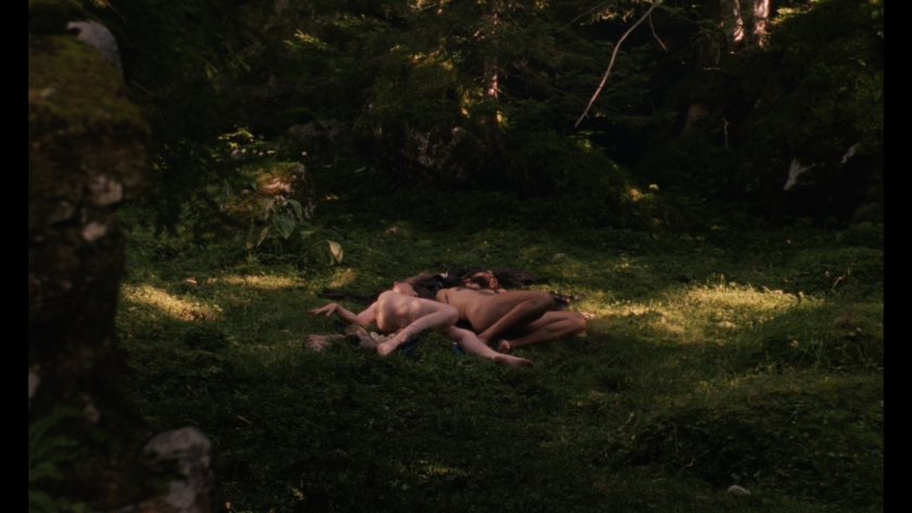 Forêt ivre