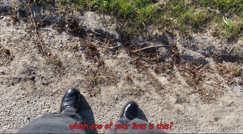 Conversation with a Snared Fox at the End of the Field, A