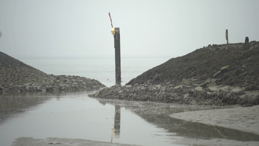 Tij, de schepen en het slik, Het