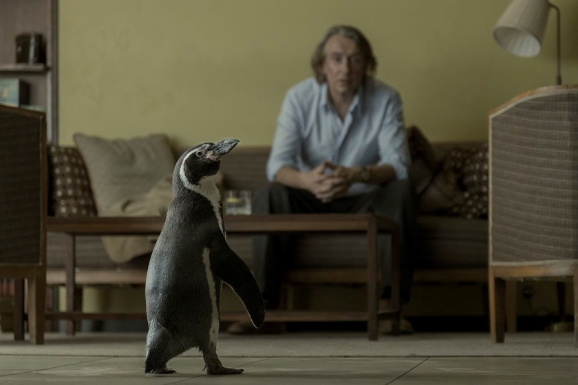 Slotfilm: The Penguin Lessons (met slotfeest)