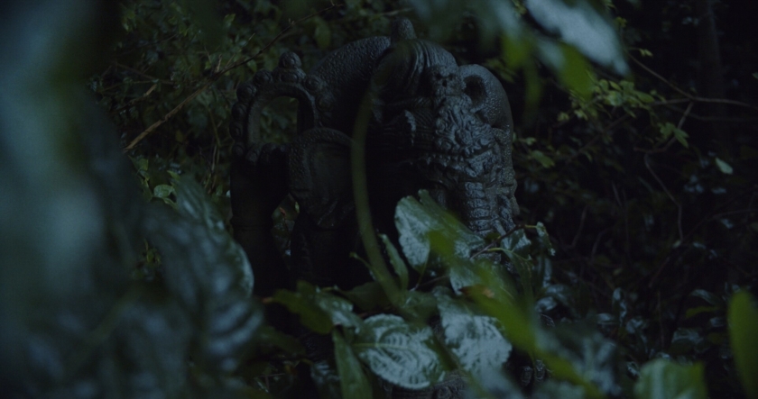 Verstrengeld in mijn wortels