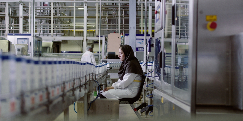 Ballad of a White Cow