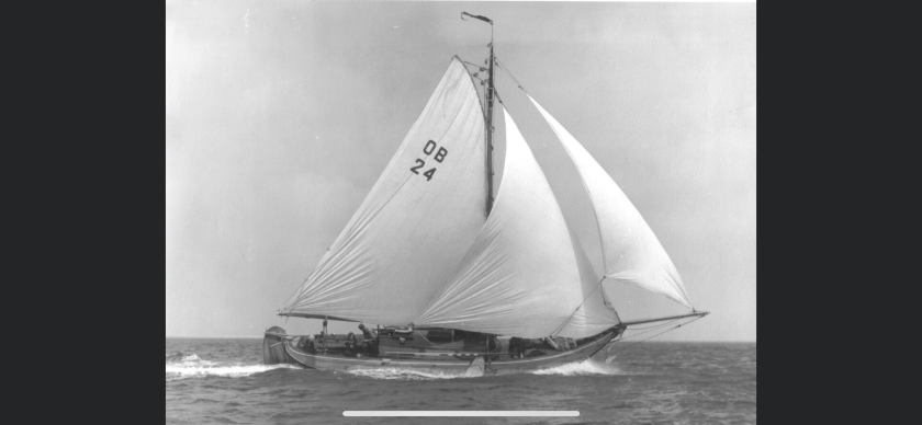 Spankracht - de restauratie van een hoogaars