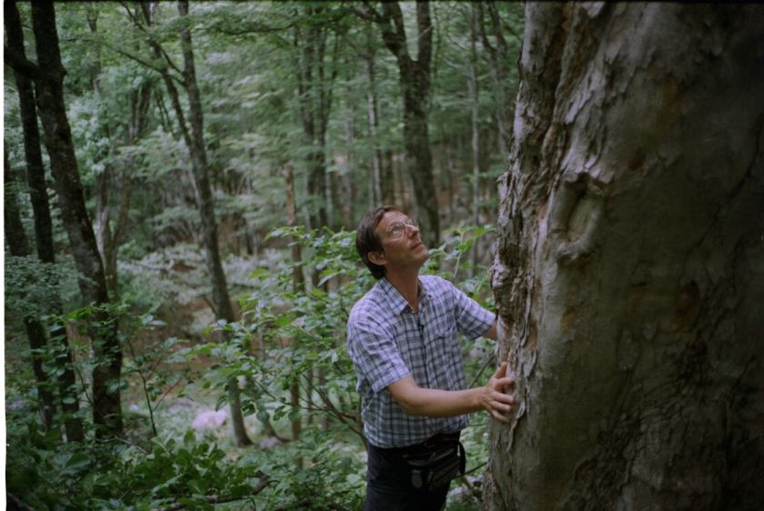 Quest for Tonewood, The