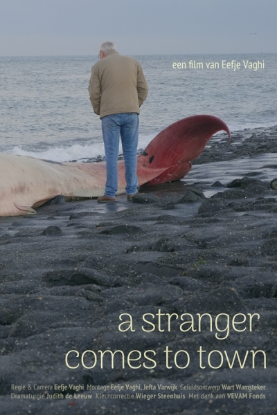 Stranger Comes to Town, A