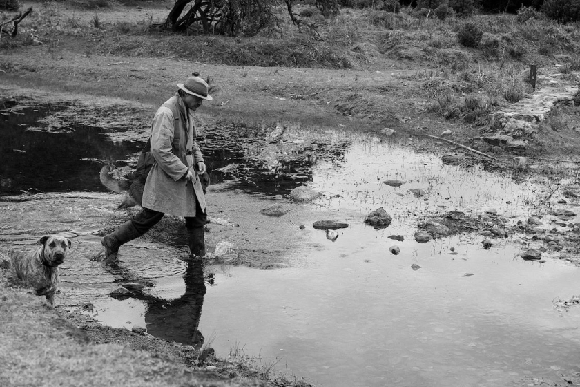 Verschwinden des Josef Mengele, Das