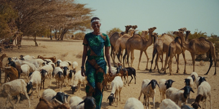 Nawi (FbtS door het jaar)