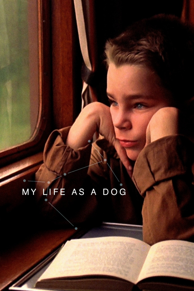My Life as a Dog: hommage Harry Peters
