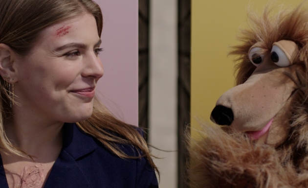 Uiteindelijk buigen bloemen naar de zon