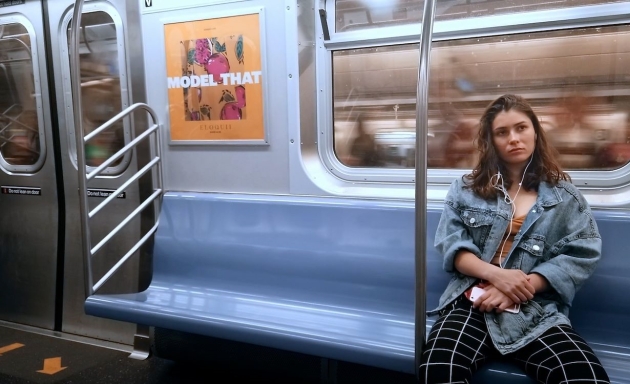 Little Gray Wolf Will Come, A