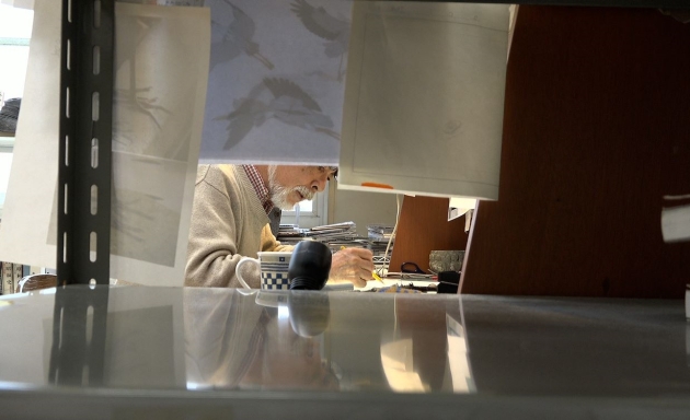 Hayao Miyazaki and the Heron